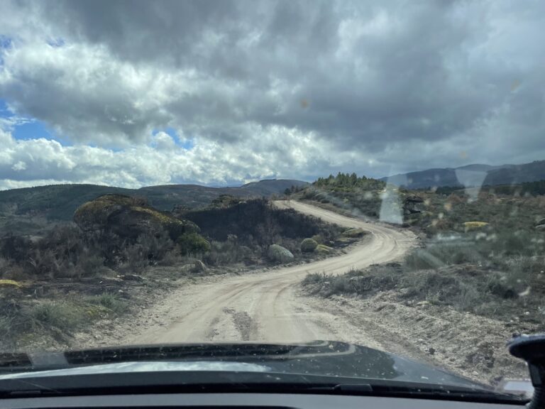 Kaotikus körülmények a Fafe Rallyn