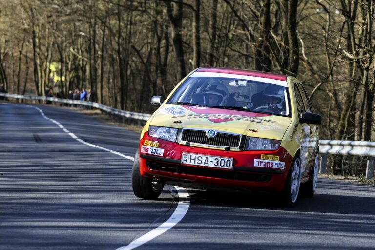 Kronome: Rövidre sikerült a Salgó Rallynk…