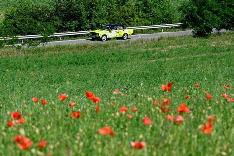 Zákányi nyerte a Wats Rallyt 