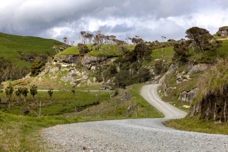 Latvala elmondta, miért az Új-Zélandi pályák a világ legjobbjai 