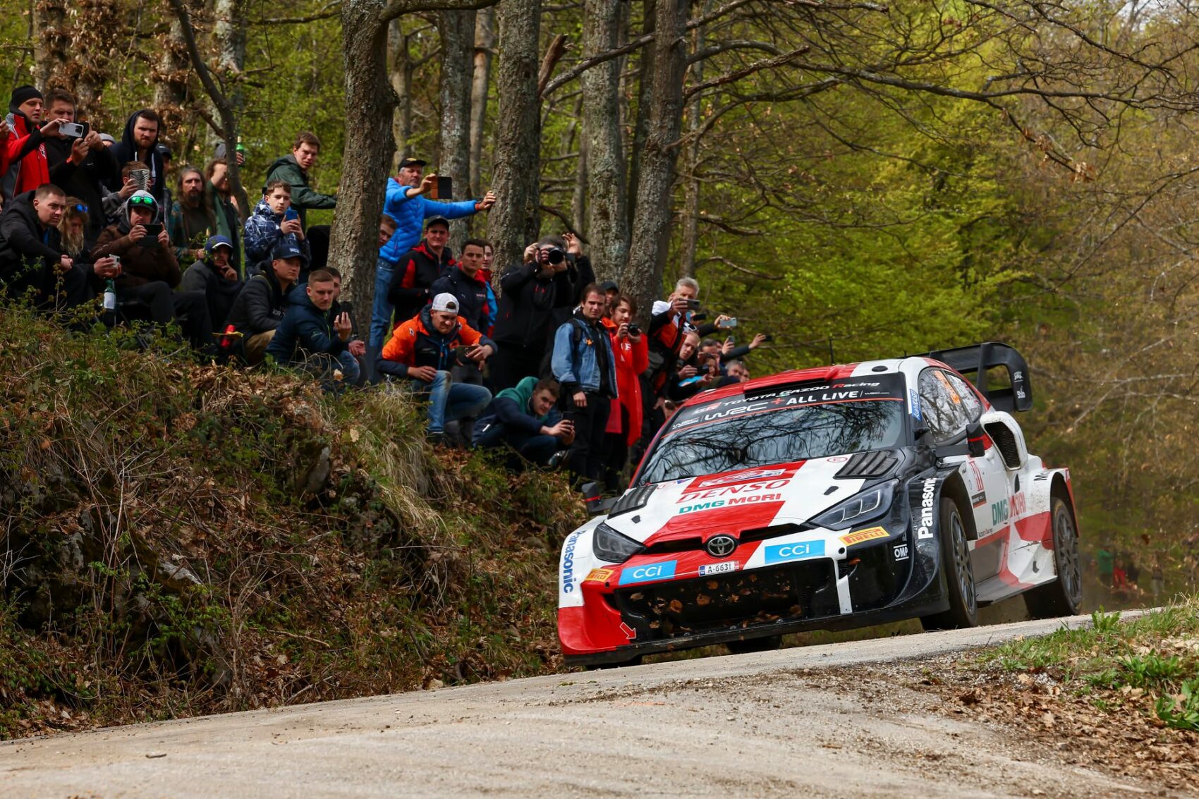 Horvát Rally