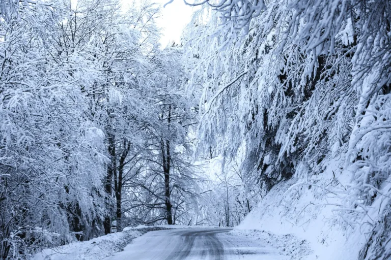 Giraudet: A Monte szombati pályáin könnyen előfordulhatnak havas, jeges részek