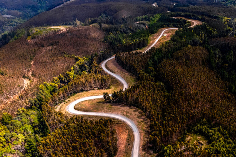 Nézd élőben a Chile Rally shakedown szakaszát!