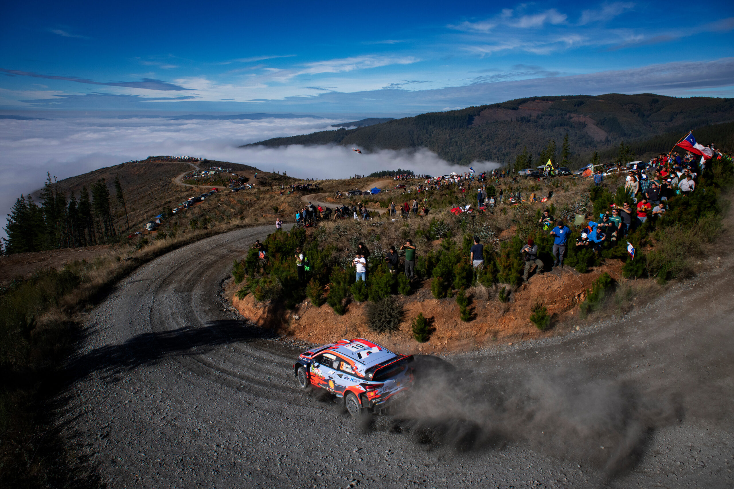 Sebastien Loeb