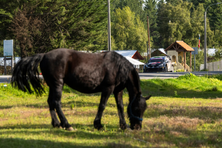 Ogier kiszállt, a 9. szakasz után még mindig Evans vezet Chilében