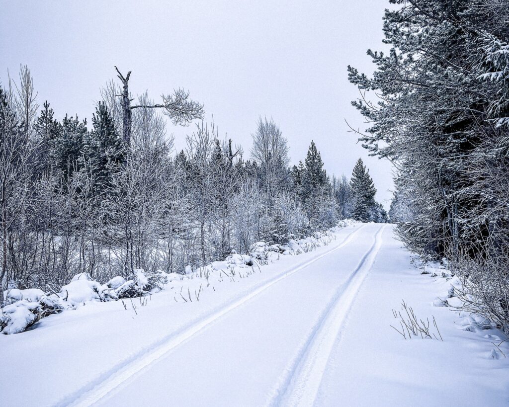 Lappföld Rally