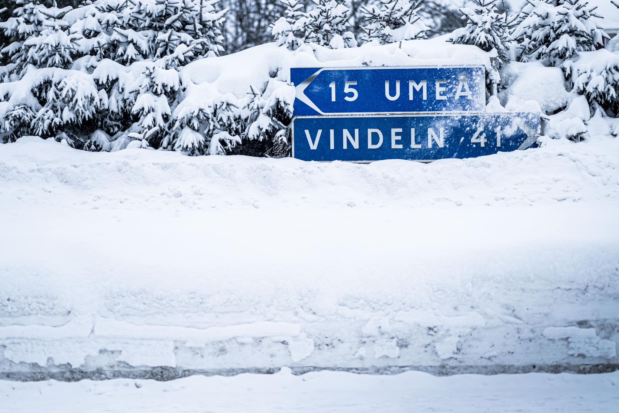 Svéd Rally