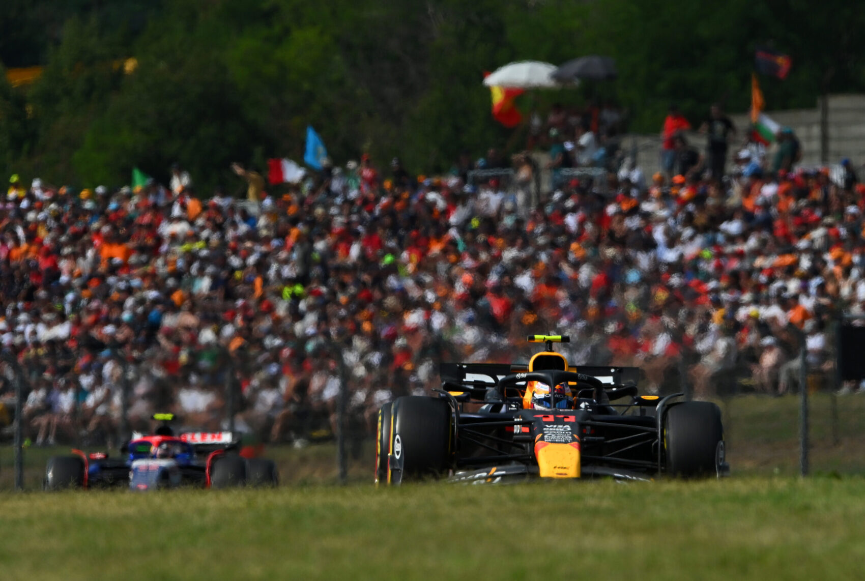 Sergio Pérez, Red Bull, Magyar Nagydíj