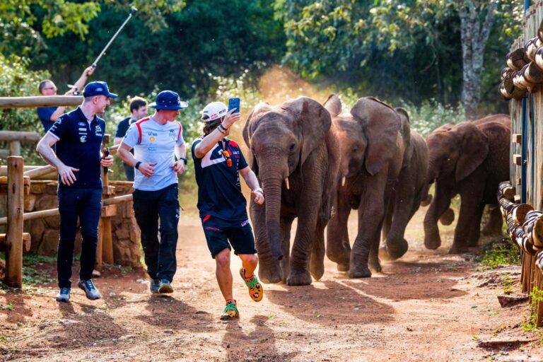 Három WRC-pilótának különleges élményben volt része a Szafari Rally előtt