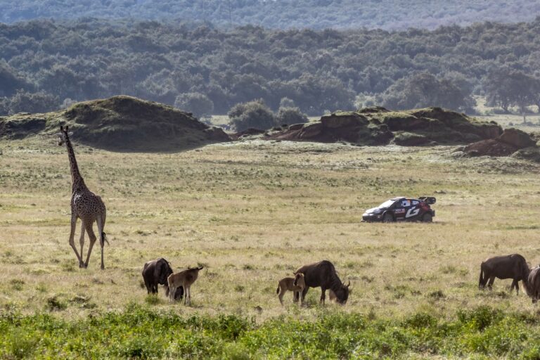 Katsuta egymás után másodszor szeretne jó eredményt elérni