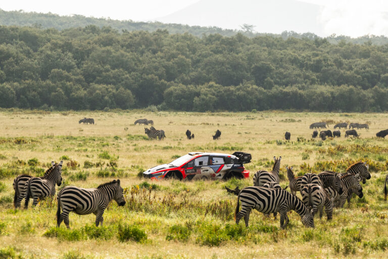 Ott Tänak egyenesen kimondta: győzni érkezett a Szafari Rallyra