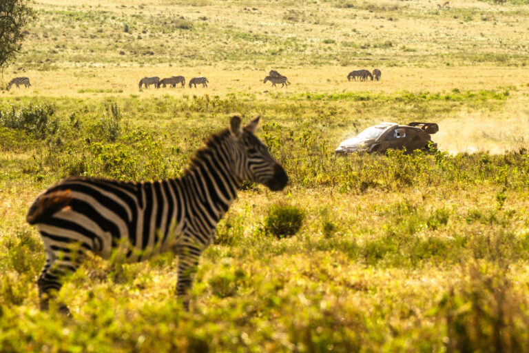 Evans először nyert a Szafari Rallyn, Katsuta borult, a Hyundai mentette a menthetőt
