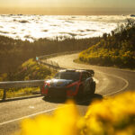 Thierry Neuville