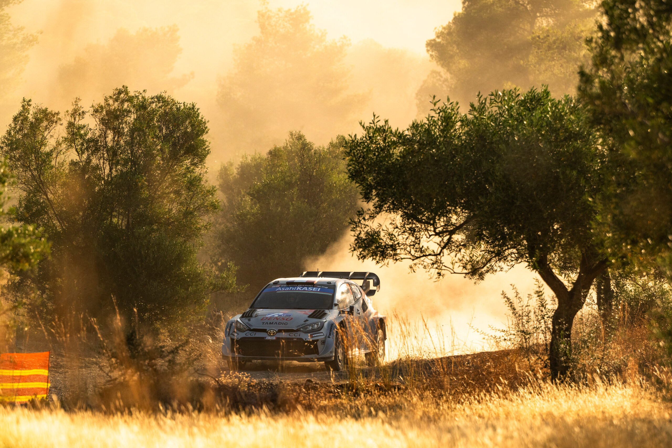 Sebastien Ogier