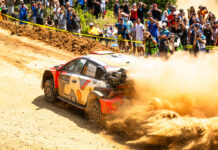Thierry Neuville