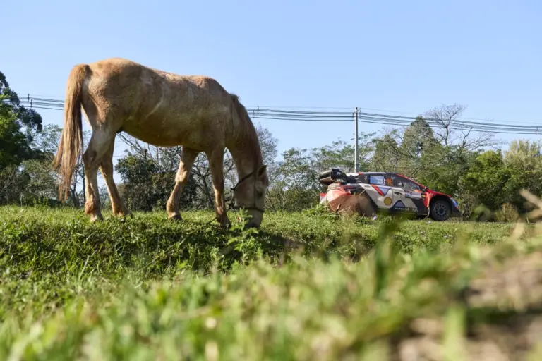 Száguldás árkon, bokron át – Megérkezett az eső a Paraguay Rallyra