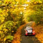 Thierry Neuville